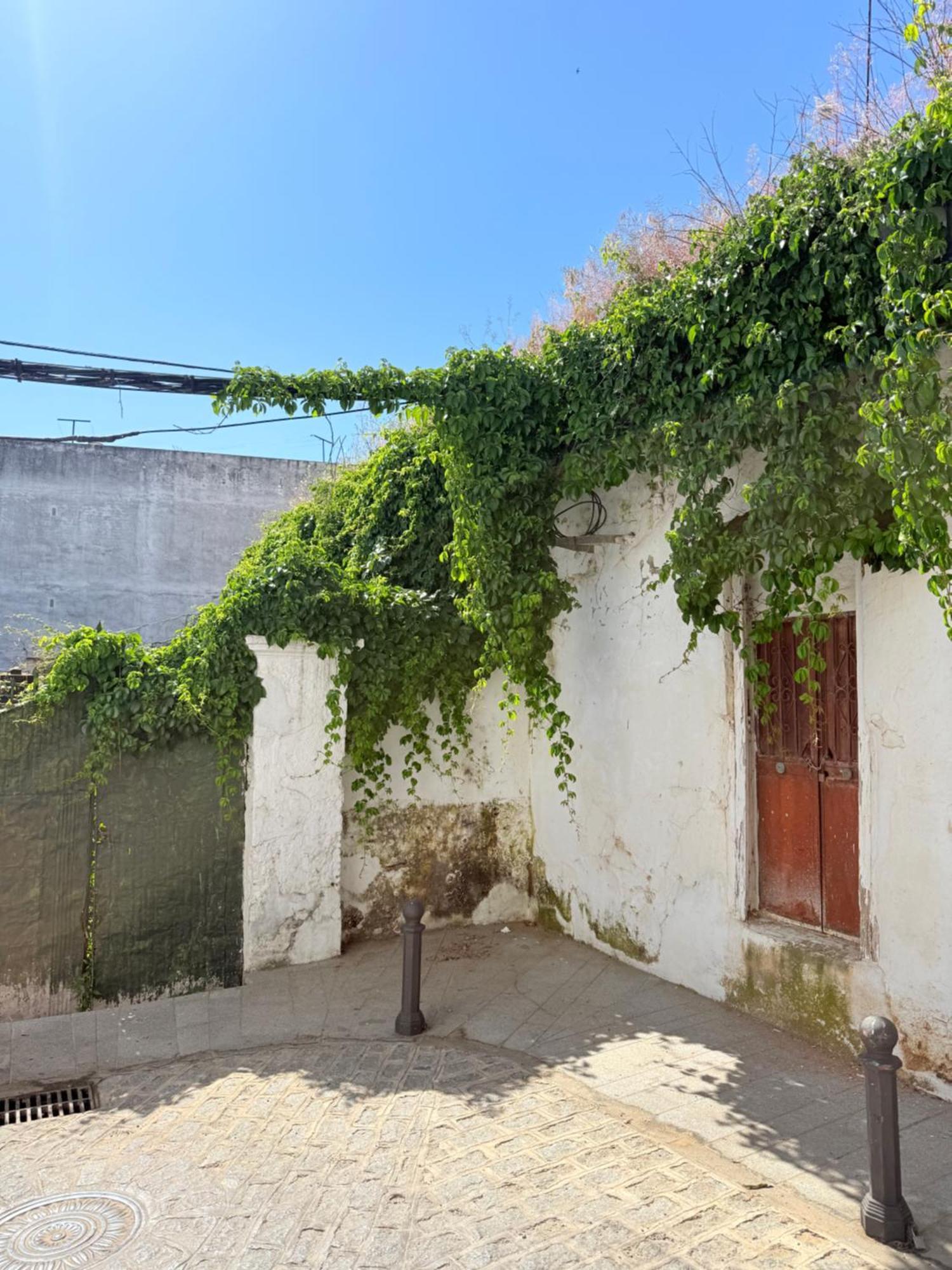 Bodeguetas Apartment *